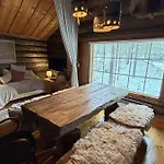 Saga, A Recently Renovated Log In Levi *