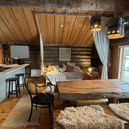 Saga, A Recently Renovated Log In Levi Apartment Kittila (Lapland)